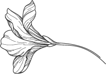 Le restaurant - L Ibiskus - La Rochette